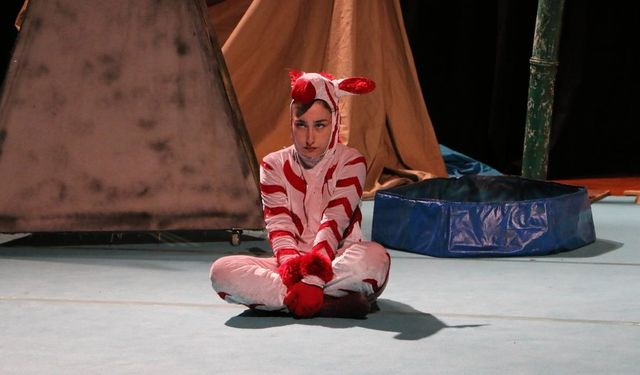 "Bir Zebra Müzikali" minik seyircilerle buluştu