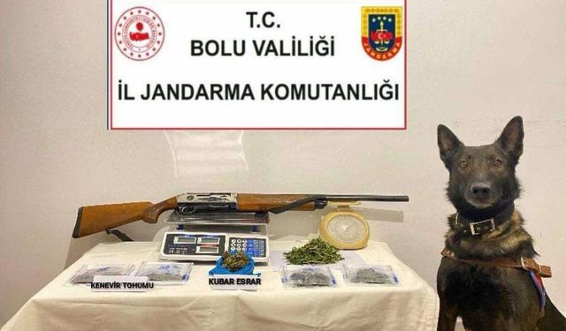 Bolu’da uyuşturucu operasyonu: 1 tutuklama