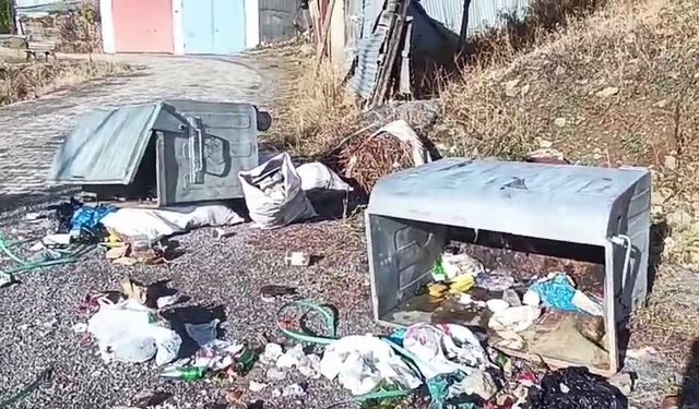 Boz ayılar Yedigölleri savaş alanına çevirdi