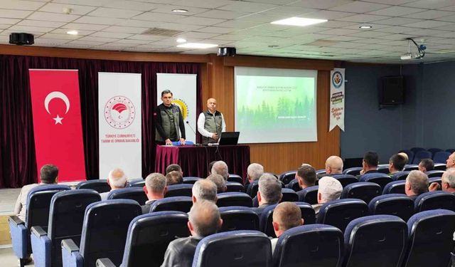 Bozüyük ormanları sertifikalandırılıyor