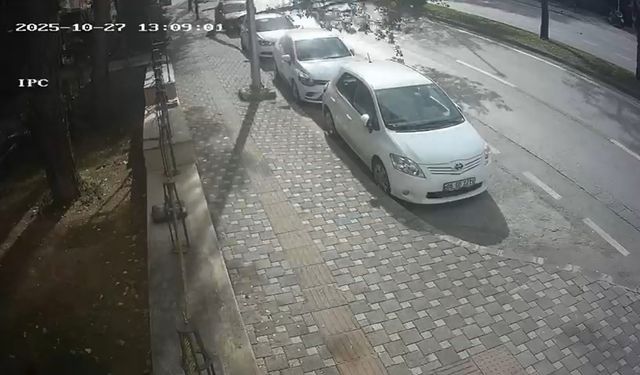 Bursa’da fırtına ağacı böyle devirdi