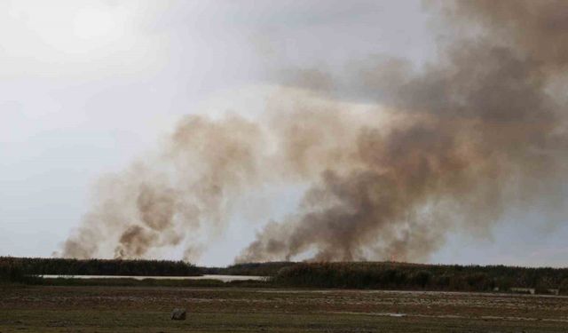 Büyük İron sazlığında yangın