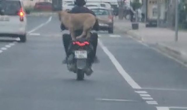Çanakkale’de motor artçısı görenleri hem şaşırttı hem neşelendirdi