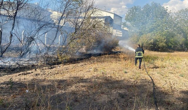 Çankırı’da çıkan ot yangını büyümeden söndürüldü