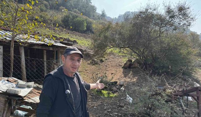 CİMER’e yapılan ’İnek ve tavuklar serbest dolaşıyor, salgın hastalık riski var’ şikayeti bölge sakinlerini şaşkına uğrattı