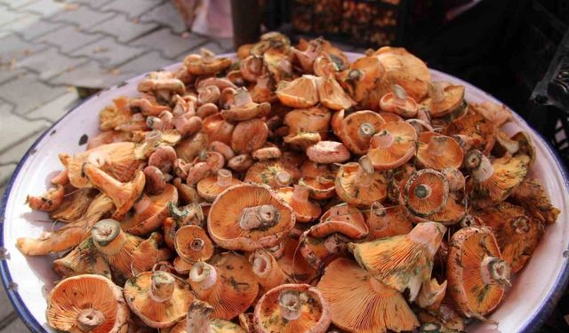 Çıntar pazar tezgahlarında yerini aldı