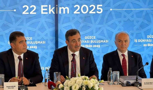 Cumhurbaşkanı Yardımcısı Yılmaz: "TL’ye olan güven artmış durumda"