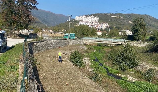 Daha temiz bir Çilimli için çalışmalar sürüyor