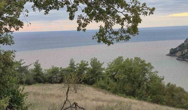 Denizin rengi değişti, plaja tıbbi atıklar vurdu