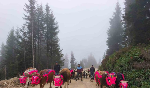 Doğu Karadeniz’de yaylalardan dönüşler hızlandı