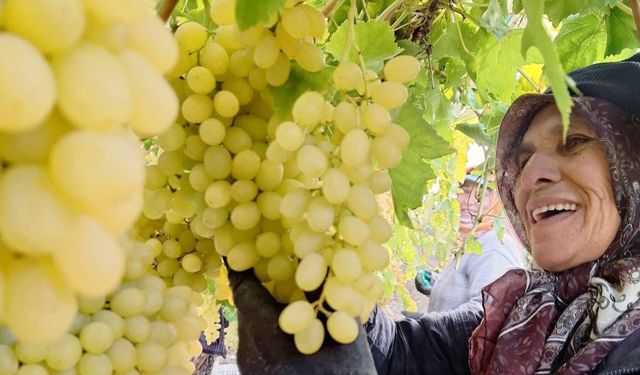 Ekim ayı bitiyor, üzüm bitmiyor