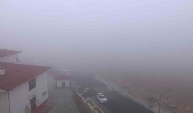 Elazığ’da sis etkili oldu