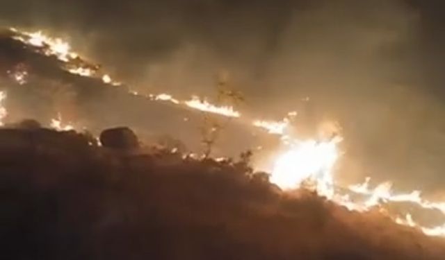 Emirgazi’de mera yangını