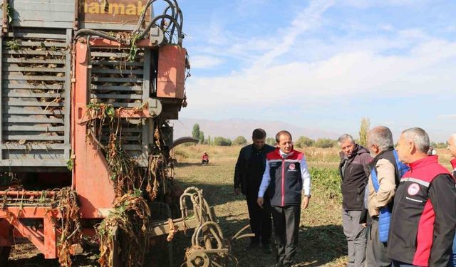 Erzincan’da şeker pancarı üretimi yılda yaklaşık 1 milyar TL boyutunda ekonomik döngü ortaya koyuyor