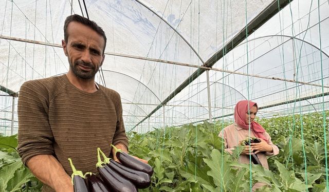 Eyyübiye Sera Kent’te yüzlerce süs bitkisi ve sebze yetiştiriliyor