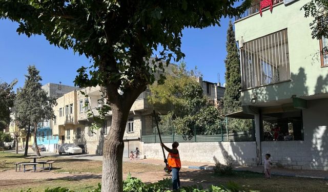Eyyübiye’deki parklarda sonbahar bakımı