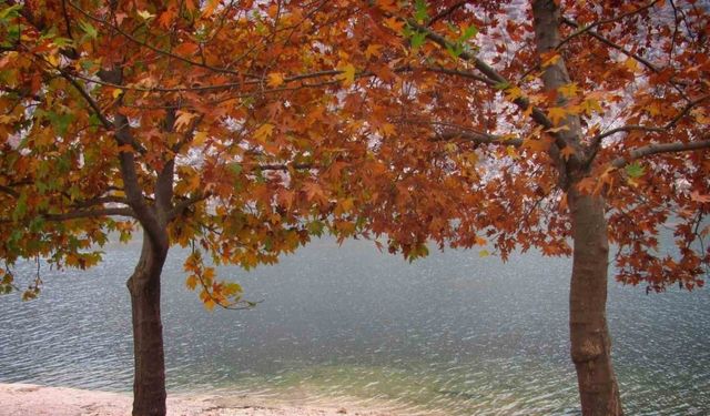 Fırat’ın sessiz akışına sonbahar renk kattı