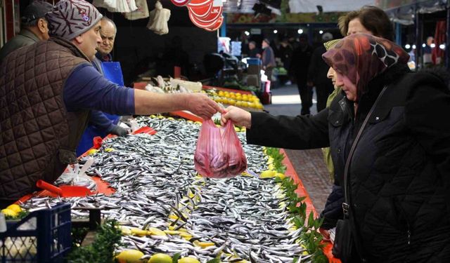 Fiyatı düşen hamsiye talep arttı: "Son 10 yıldır böyle güzel hamsi gelmedi"