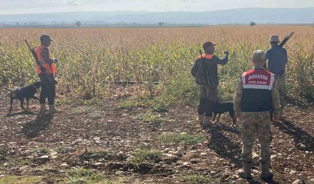 Gaziantep’te tarım arazilerine zarar veren yaban domuzları için sürek avı yapıldı