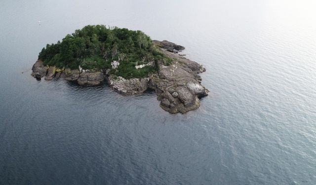 Giresun Adası’na 32 milyonluk makyaj