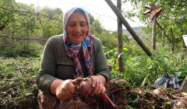 Giresun’da kadınlar geleneksel yöntemlerle kışlık yiyeceklerini hazırlıyor