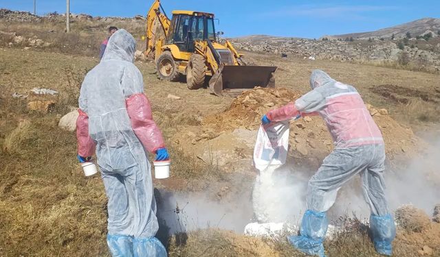 Gümüşhane’de şarbon hastalığı nedeniyle 6 köye giriş çıkış yasaklandı