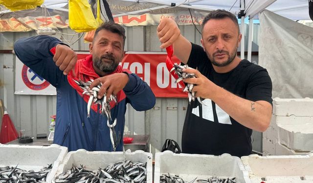 Hamsinin fiyatı 70 liraya indi, tezgahlar şenlendi