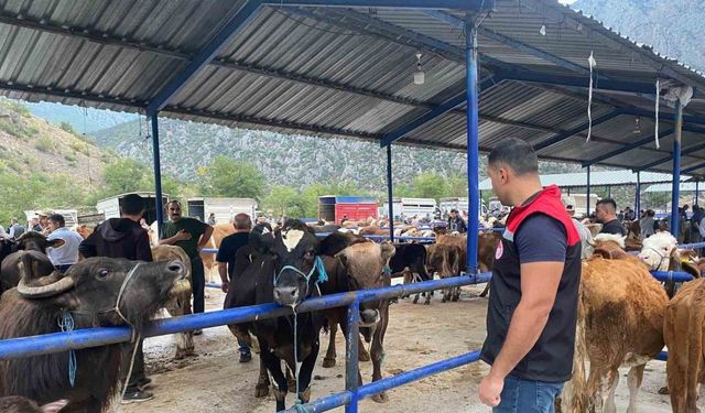 Hayvan pazarı şap hastalığı nedeniyle kapatıldı