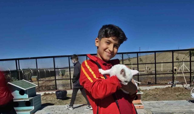 Hayvanları Koruma Günü’nde Evcil Köy’de patili dostlarla buluştular