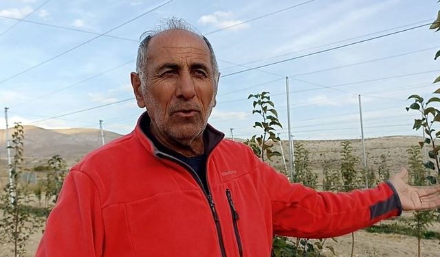İlçede yetişen elma hayatına yön verdi, harçlıkla başladı, 100 dönümlük araziye 5 bin fidan dikti