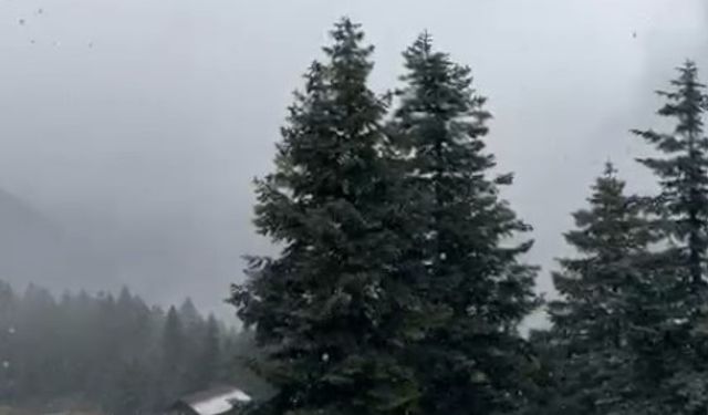 Ilgaz Dağı’nda kar yağışı etkili oluyor