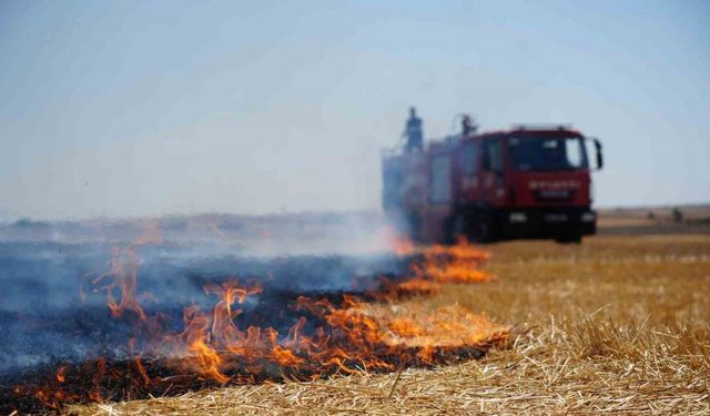 İpsala Kaymakamlığı’ndan anız yakanlara uyarı: "Ceza kesmekten yorulduk, bu görüntüler İpsala’mıza yakışmıyor"