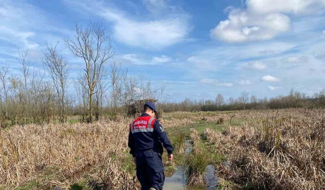 Kaçak avcılıkta kullanılan 6 avcı kulübesi imha edildi
