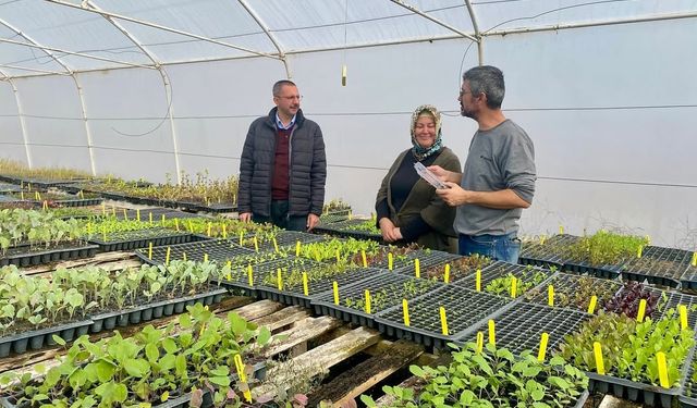 Kadın çiftçiler üretime güç katıyor
