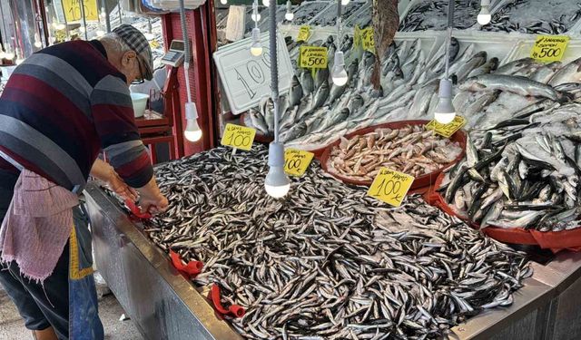 Karabük’te balık tezgahlarında hamsi bolluğu: Kilosu 100 TL’ye kadar düştü