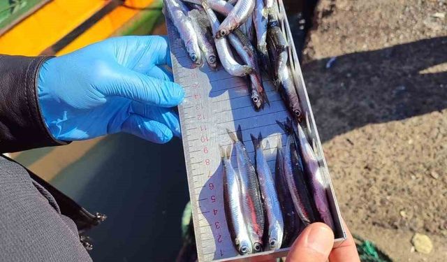 Karadeniz Ereğli’de balıkçılık denetimlerinde 153 tekneye e-seyir onayı verildi