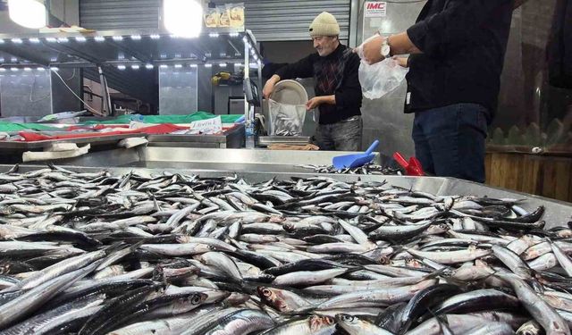 Karadeniz’de hamsi bollaştı, Bartın’da kilosu 50TL’ye düştü