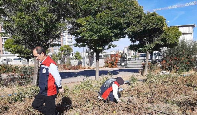 Karadeniz’in korkulu rüyası Sivas’ta görüldü