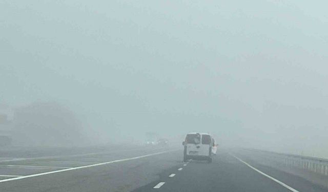 Kars-Gürcistan kara yolunda yoğun sis