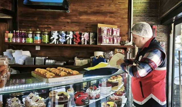 Kastamonu’da 9 ayda 90 işletmeye 11 milyon 644 bin 539 TL ceza