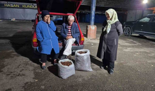 Kestane rekoltesi kuraklık sebebiyle düştü