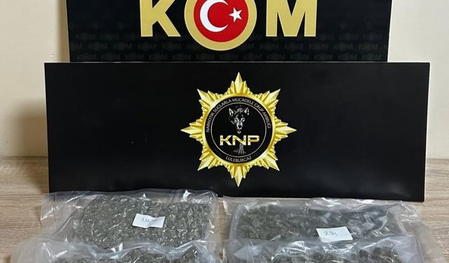 Kırklareli’nde 1 kilo 170 gram skunk ele geçirildi