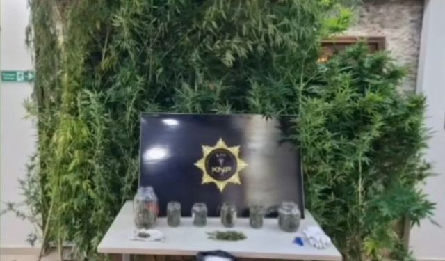 Kırklareli’nde uyuşturucu operasyonu: 2 gözaltı