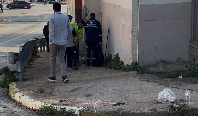 Kocaeli’de freni boşalan otobüs duvara çarptı: 3’ü polis 7 yaralı