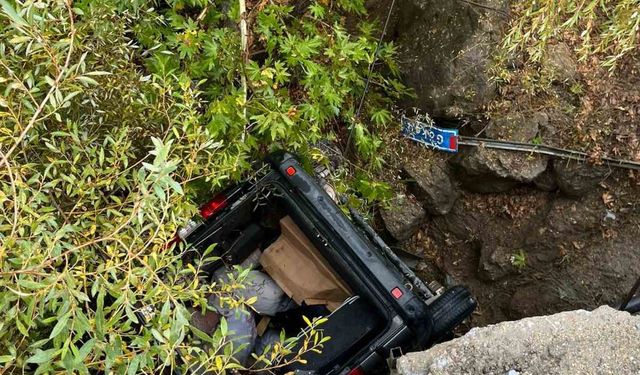 Köprüden uçan otomobil ağaç dallarında asılı kaldı: 2 yaralı