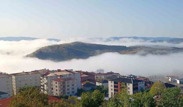 Kulp’ta sabah saatlerinde sis etkili oldu