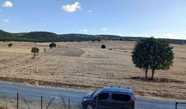 Kulp’ta sağanak başladı, çitçiler umutlandı