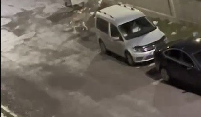 Kurt kent merkezine indi