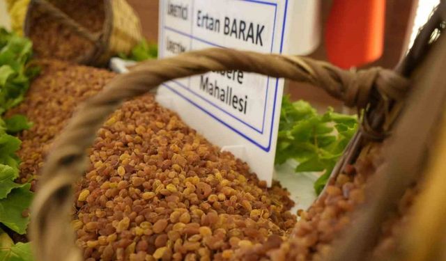 Manisa’nın 9 aylık tarım ihracatı 706,7 milyon dolara ulaştı