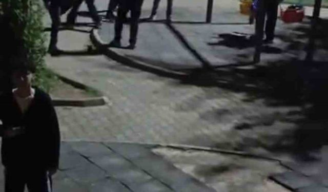 Mardin’de bir grup genç, çocuk parkındaki oyuncaklara zarar verdi